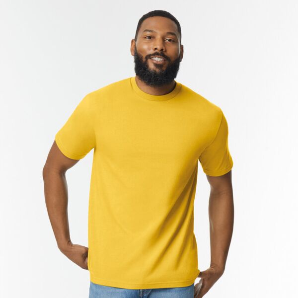 Softstyle™ midweight adult t-shirt (GD024) Thumbnail